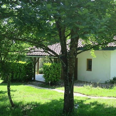 Le Verger Gites Castelnau D'Auzan Экстерьер фото